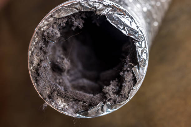 Best Air Duct Cleaning Company Near Me  in Maury, NC